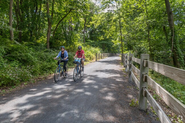 Cyclists cruise the Newtown Rail Trail under a canopy of late-summer trees.