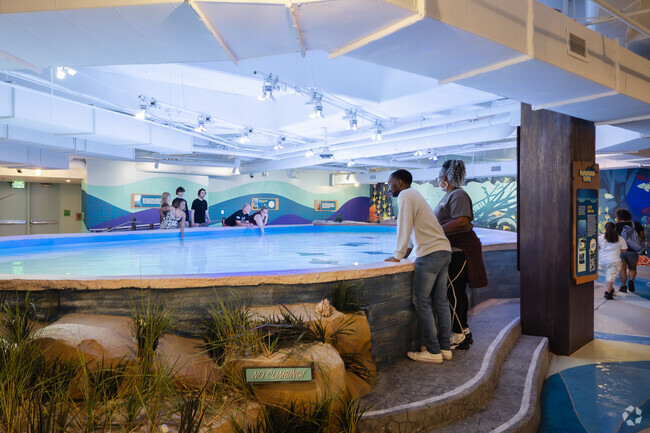 With such close proximity, GA Aquarium is a top destination for Dixie Hills resident visits.