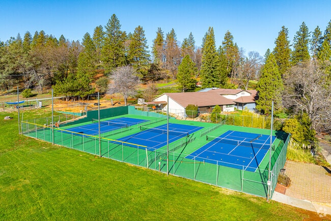 Tennis is an option for physical education at Forest Lake Christian School.