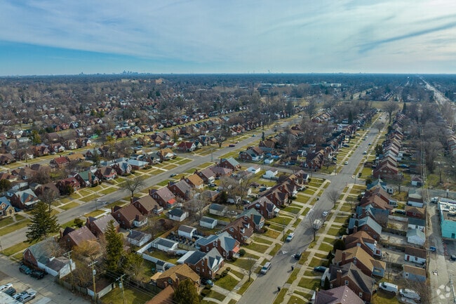 Single-family homes line the streets of Detroit's Greenfield neighborhood.
