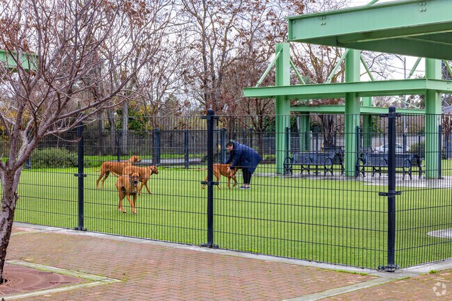 Your dogs will love the Del Monte Dog Park in Buena Vista