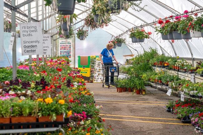 Wood Lake local shops for plants at the local Jewel.