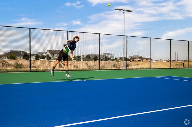 Ron Wood Park in Cobble Creek boasts well maintained tennis courts.