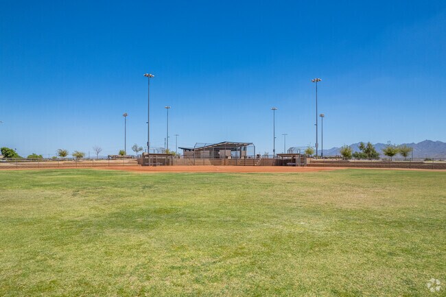 Little League baseball fields at Festival Fields Park in Estrella Village.