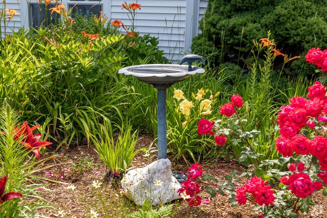 Birds are always welcome for a bath at New Testament Christian School.