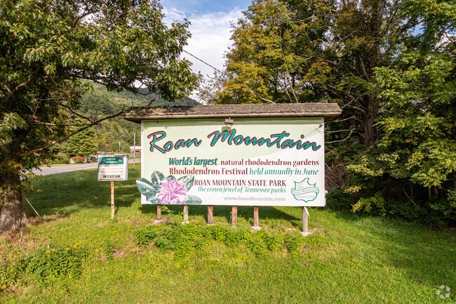 Roan Mountain is the site of the world's largest natural rhododendron gardens.