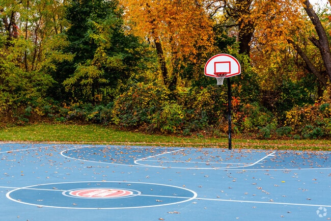 Lahser-Clarita Park has a very well kept basketball court.