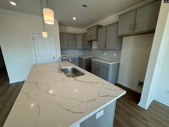 555 Griffon Dr, Chapin, SC 29036 - photo 2