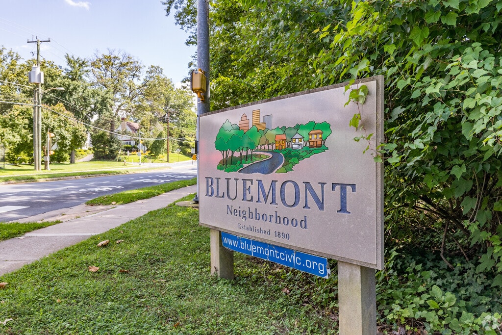 About Bluemont Schools, Demographics, Things to Do