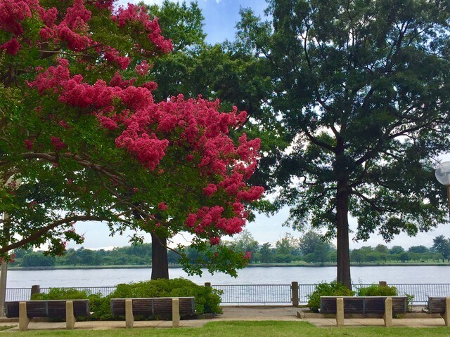 Riverside unit A102, Washington, DC 20024 - photo 1