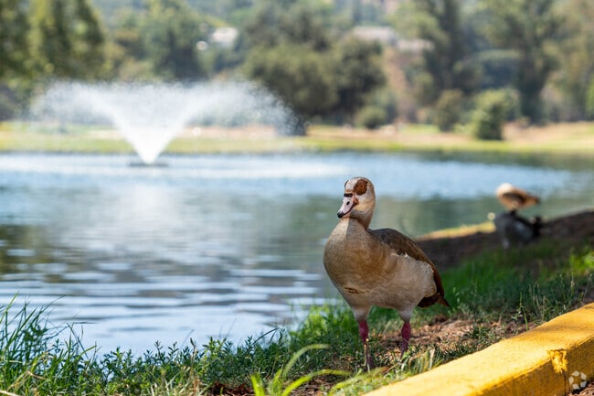 Enjoy the landscape & the local wildlife around Brookside Golf Course.