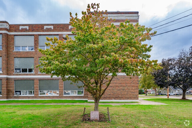 A tree was planted in memory of a lost coach and teacher at Shadyside High School.