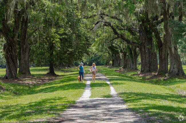 Go for a nice walk under a beautiful canopy of oak trees at Laurel Hill Park in Mount Pleasant.
