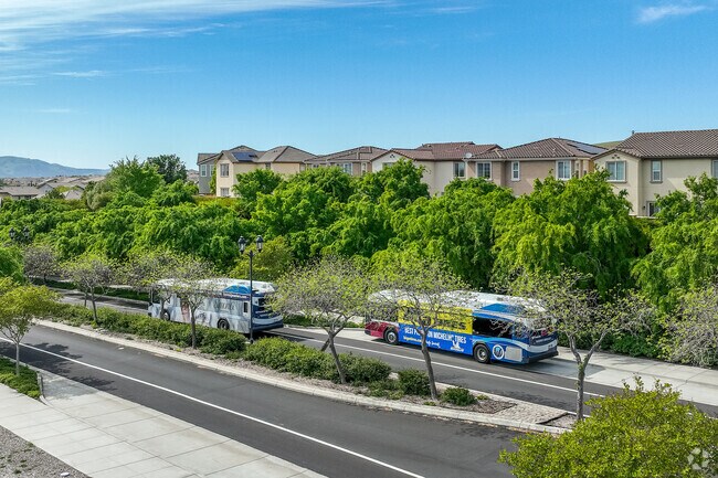 Positano locals take Bus route 2, which  stops along the road and travels through the rest of the city.