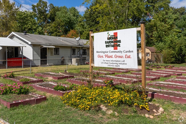 Community garden in Mooretown and Hollywood Heights invites residents to grow and share.
