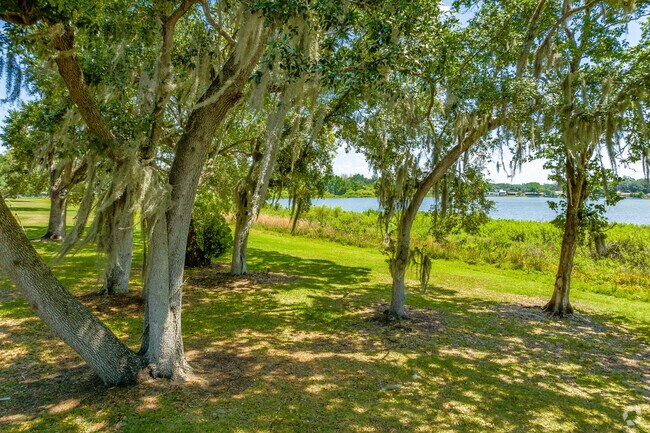 Oak trees line the shore of Weeks Lake.