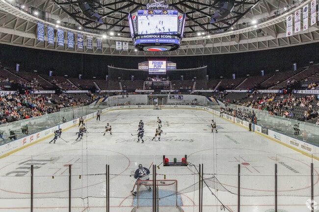 Catch a Norfolk Admirals game at Scope Arena in downtown Norfolk.