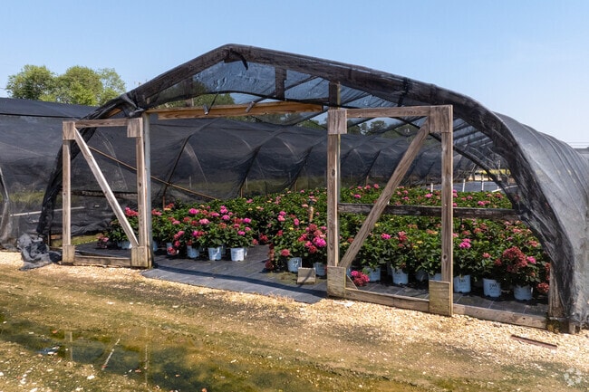 Nurseries growing flowers and other plants are everywhere in Big Creek.
