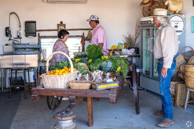 Harvest vibes and local delights at Bodega Loya Fresh Produce.