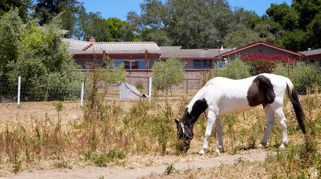 CP_Corralitos_1010381_P2_060325_FB_Final