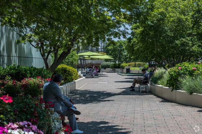 Rosslyn residents enjoy going to the park for lunch to relax.