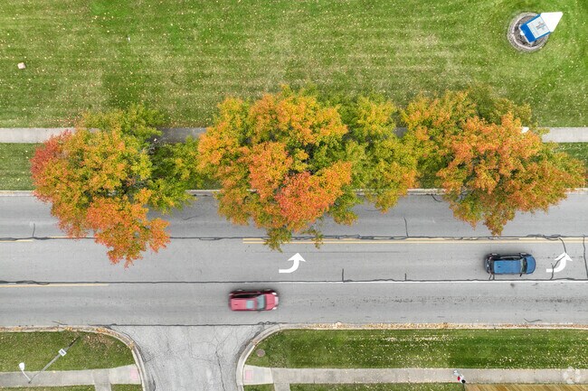 Beautiful trees line the streets of Central Merrillville.