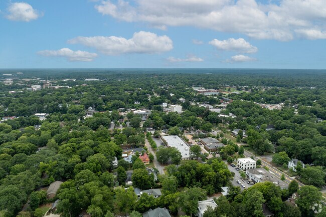 The mature trees of Cobbham offer shade on the hot Summer days.