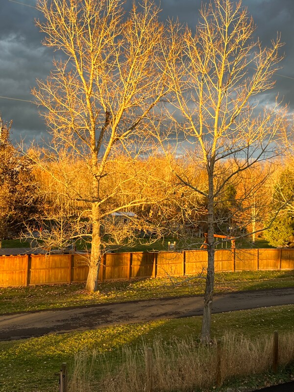 1542 Cobb Hill Rd, Bozeman, MT 59718 - photo 6