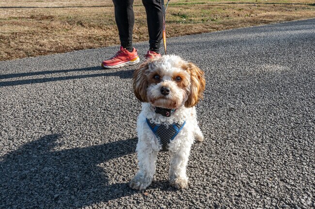 Visitors to Rankin Cove are usually greeted warmly and enthusiastically.