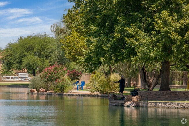 Fishing is a popular summer activity at Rancho Sahuarita Lake Park.