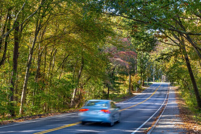 A car drives down a tree lined street common around the Hitchingpost area.