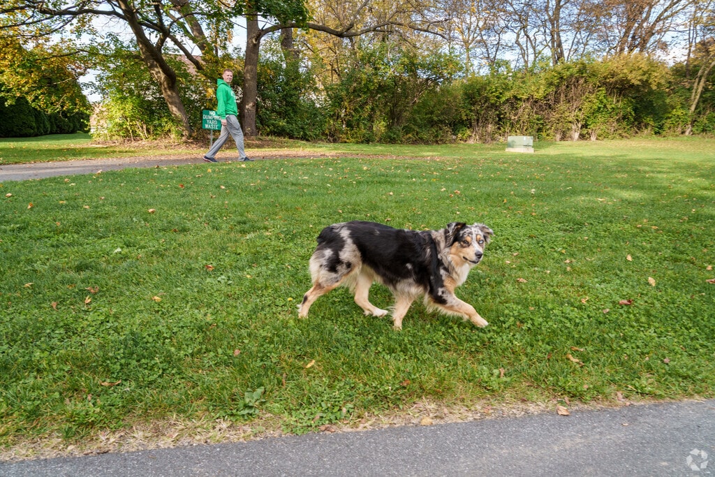 262 Spohn Rd, Sinking Spring, PA 19608 MLS PABK2040870