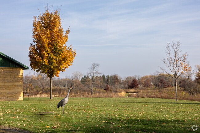 Spot rare birds at Greenbelt Forest Preserve.