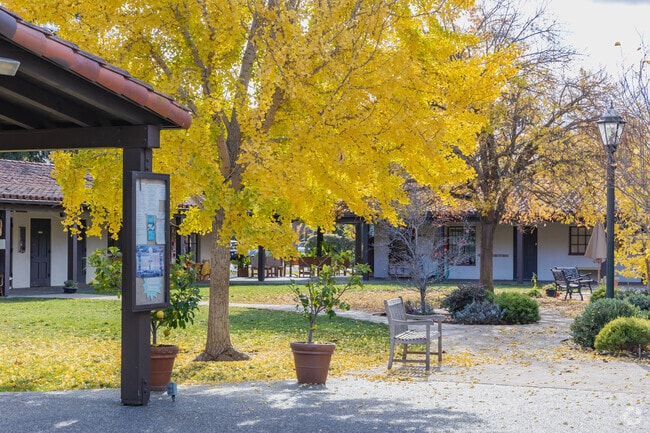 Tru School in Palo Alto will give your child a transformative K-5 learning experience.