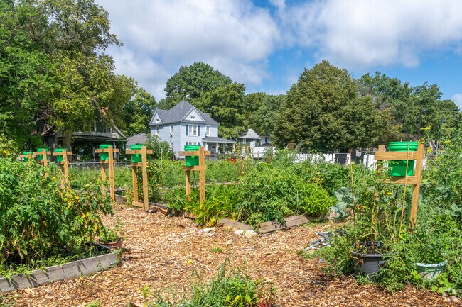 The Randolph Street Community Garden has been in the Stratton area for about 20 years.