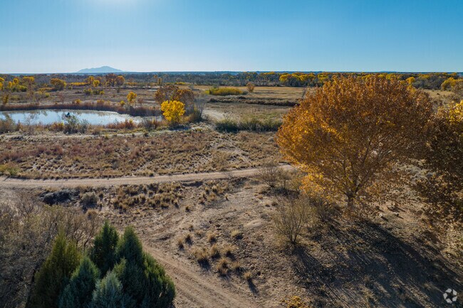 Whitfield Wildlife Conservation Area is home to many species near the Rio Grande River.
