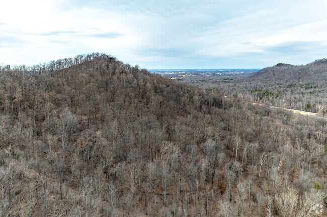 Danville nature lovers join 2 million other visitors at Daniel Boone National Forest each year.