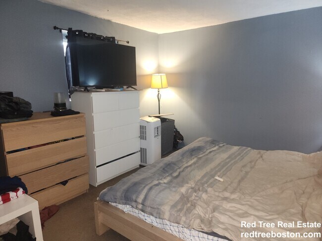 14 Bryon Rd unit 3, Chestnut Hill, MA 02467 - photo 6