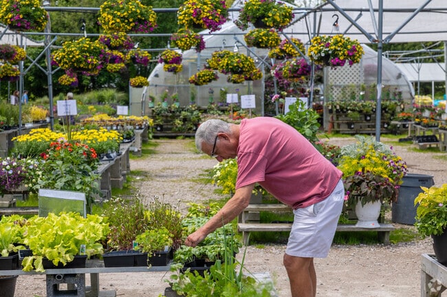 Choose from a variety of fresh herbs at That Bloomin Place in Norwell.