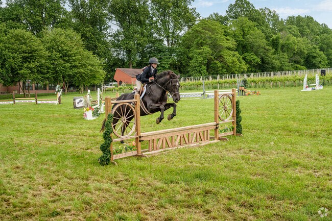 Skilled riders take their horses through their paces at Penns Woods Winery's Derby Day.