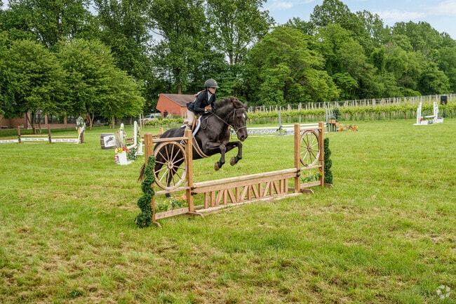 Skilled riders take their horses through their paces at Penns Woods Winery's Derby Day.