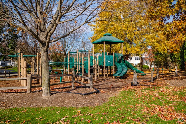 Cary Woods Park is nestled among town homes on the eastern border of Trout Valley.