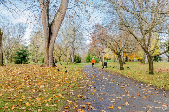 Wright Park is home to crows and other local wildlife.