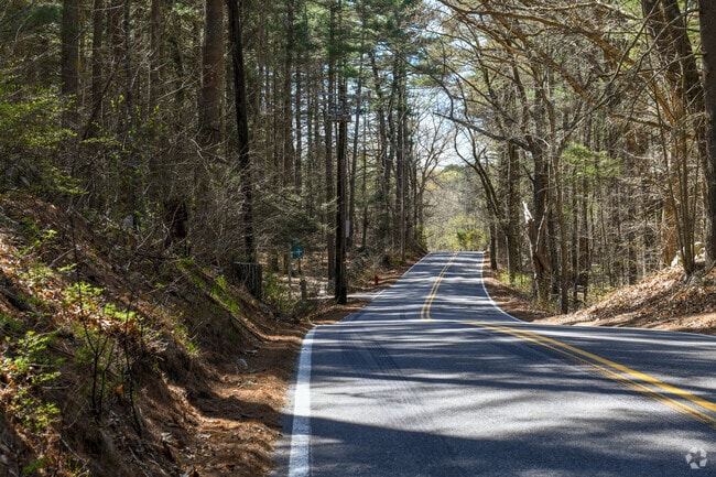 Country roads in Millis are tree-lined and fun to drive with beautiful views.