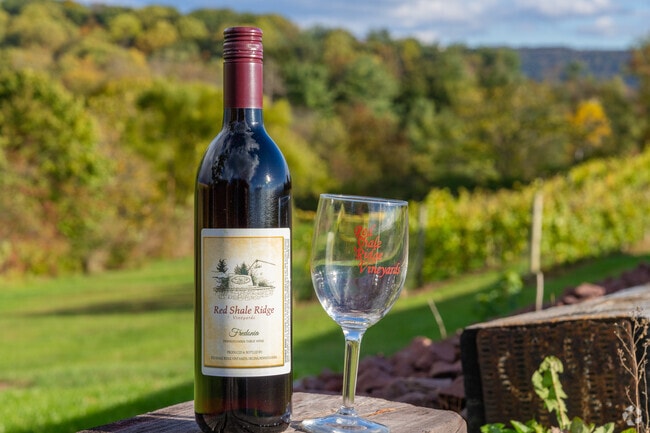 Red Shale Winery and Vineyards offers award-winning wine in Valley View.