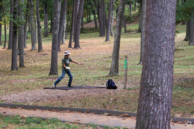 Center Springs Park has a beautiful disc golf course.