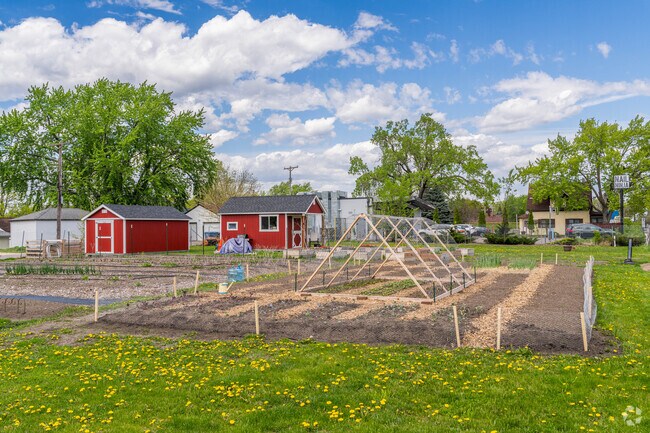 Northeast Market Garden is a space for urban farmers.