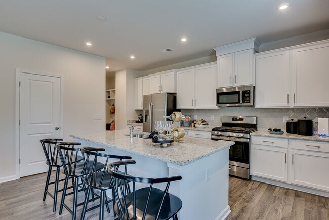 369 Chapin Place Way, Chapin, SC 29036 - photo 6