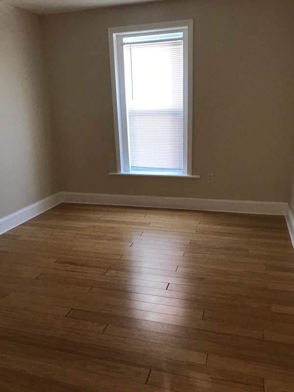 20 Eden St, Worcester, MA 01609 - photo 5