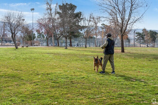 There's plenty of space for dogs to get exercise at Desert Sands Park.